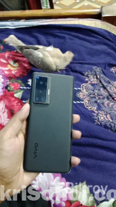 vivo x70 pro